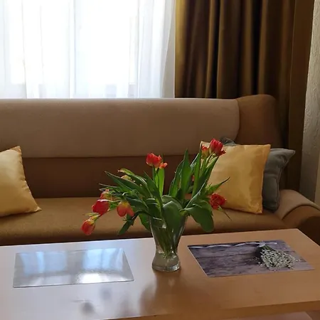 Lacplesa Central Apartment Riga