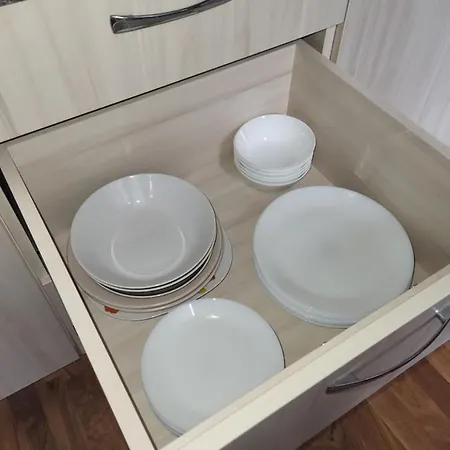 拉科勒萨中央公寓 里加