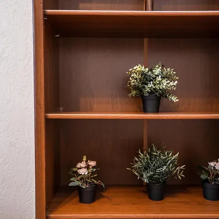 Lejlighed Lacplesa Riga